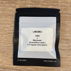 LIT - LMGMO