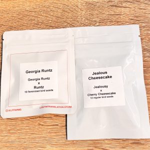 Lit - Georgia Runtz (F) W/free pack Jealous Cheesecake
