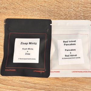 Lit - Zoap Mintz 1/2pack (F) w/free pack Red Velvet Pancakes