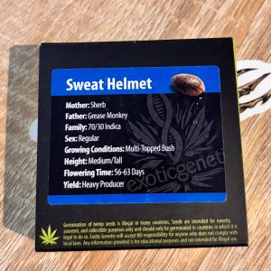 sweat helmet - sherb x grease monkey