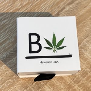 hawaiian lion - truffaloha #2 x chimera #3
