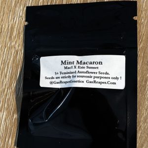 mint macaron - mac1 x erie sunset