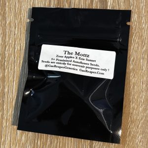 the mottz - zour apples x erie sunset