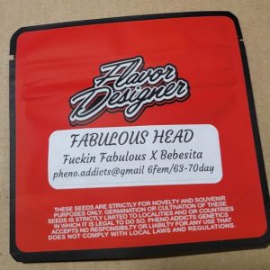 Pheno Addicts - Fabulous Head