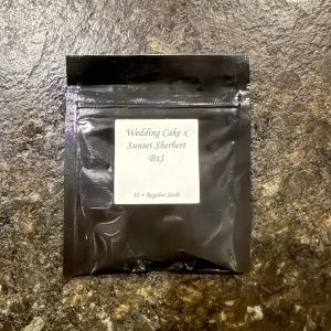 Seed Junky Genetics – Wedding Cake x Sunset Sherbert BX1 (Sherb Cake)