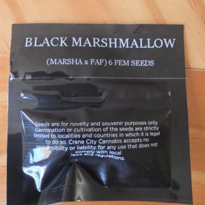 Black Marchmallow
