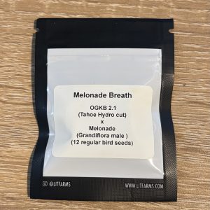 LIT - Melonade Breath