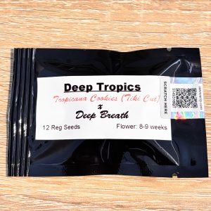 Bulletproof - Deep Tropics
