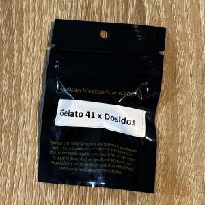 gelato 41 x dosidos