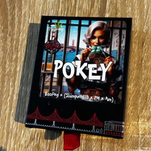 pokey - boofing x slumper 119 x pm x am